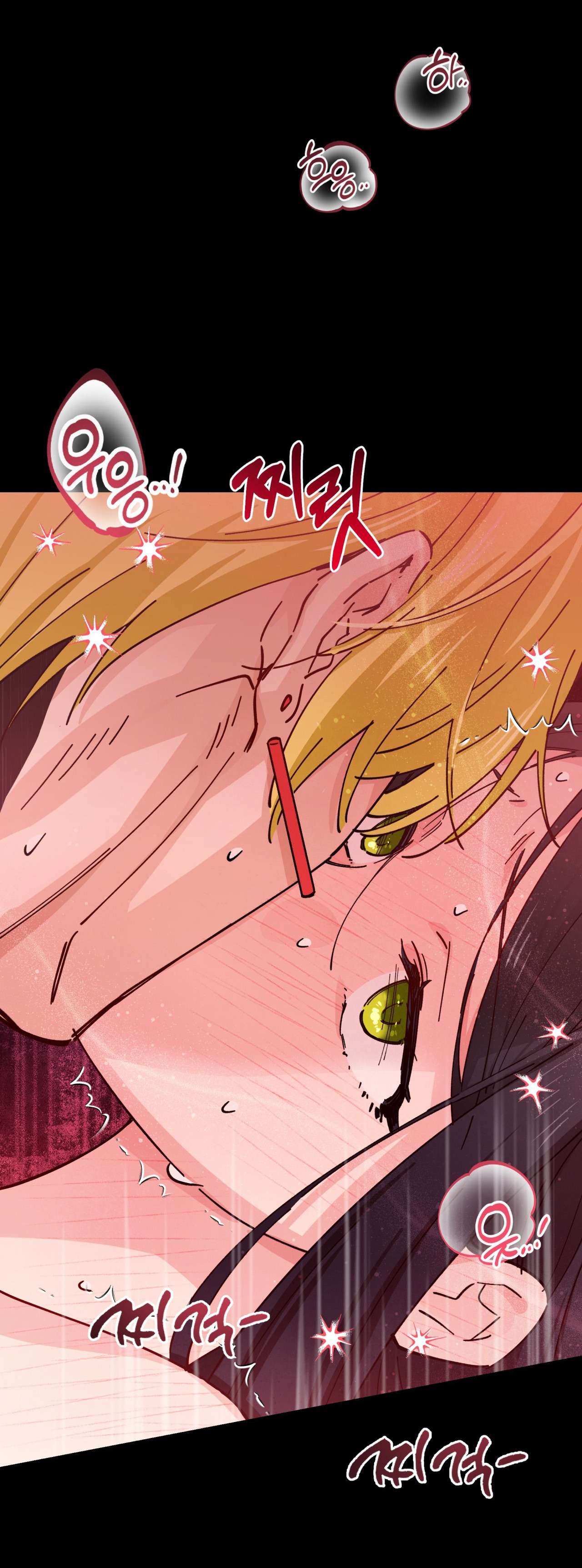 〖18+〗- Tiểu Thư Nuốt Phù Thủy Chap 8 - Trang 2