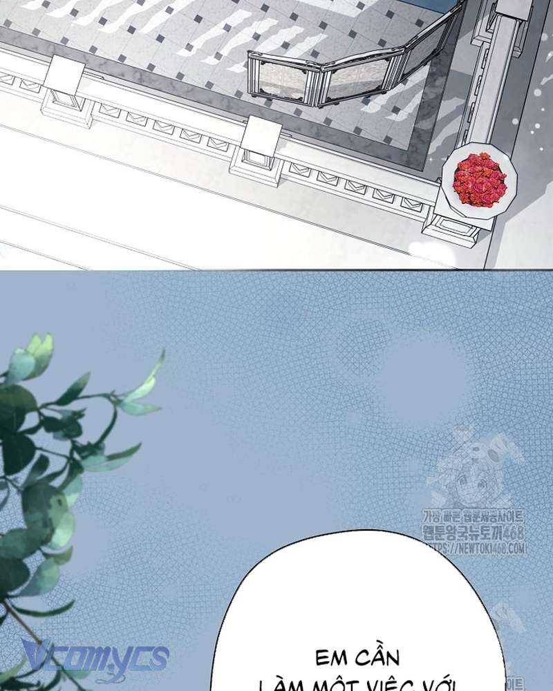 Các Nam Chính Đã Bị Nữ Phụ Cướp Mất Chap 67 - Trang 2