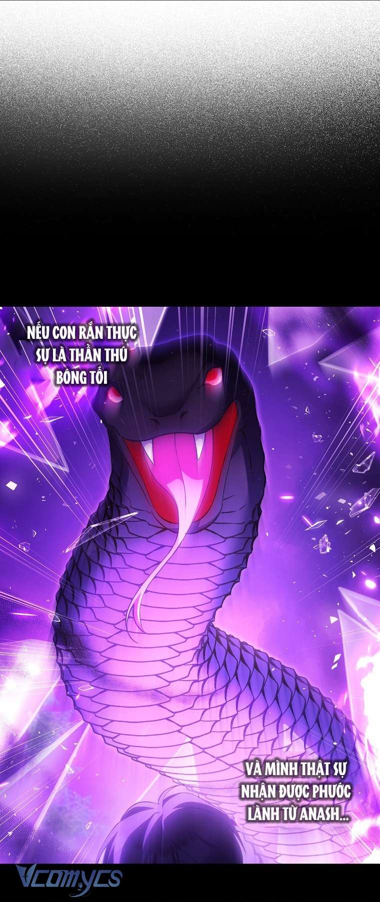 Công Chúa Bạch Hổ Không Có Nguy Hiểm Nha! Chap 6 - Trang 2