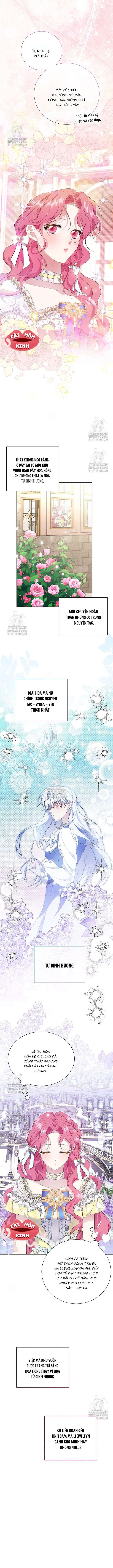 Khi Bị Nam Chính Dịu Dàng Nhưng Cố Chấp Ám Ảnh Chap 24 - Trang 2