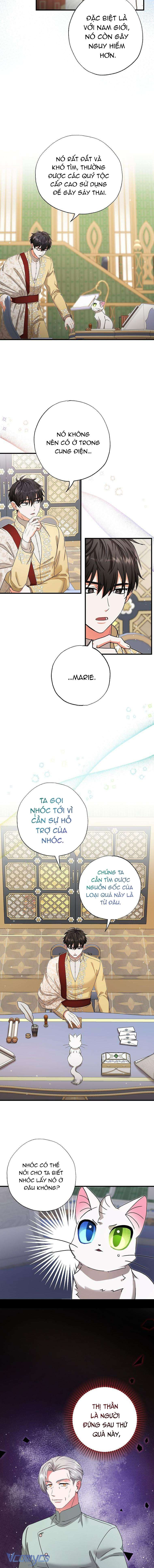 Trở Thành Miêu Nữ Của Hoàng Đế Chapter 17 - Trang 4