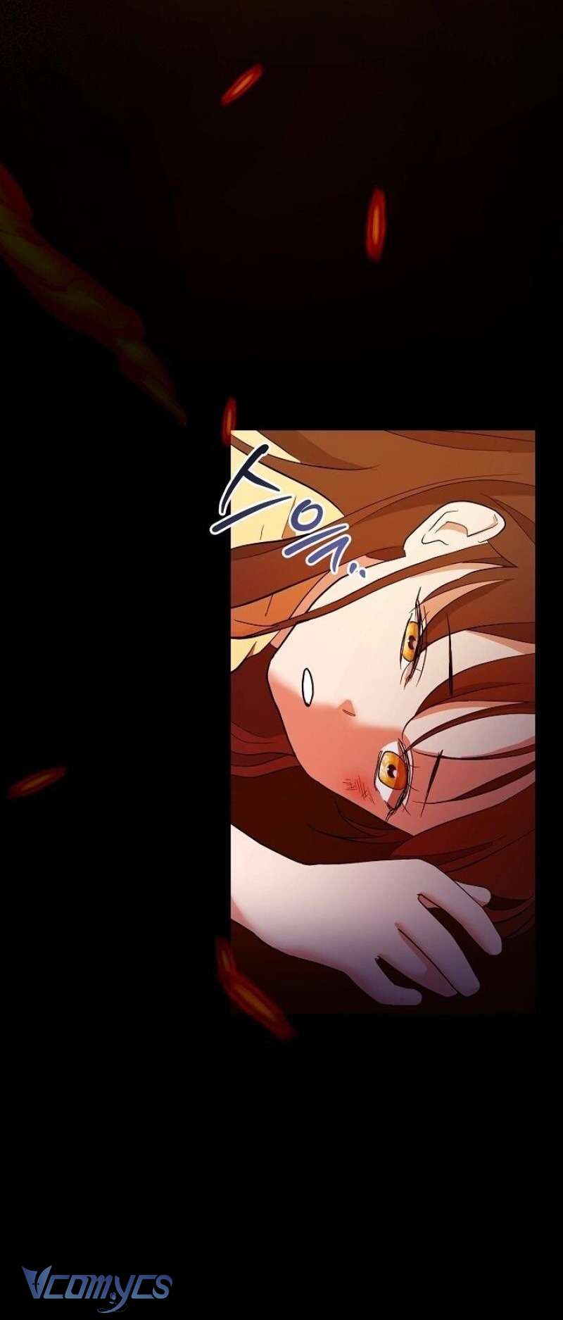 Thiêu Rụi Chap 1 - Trang 2