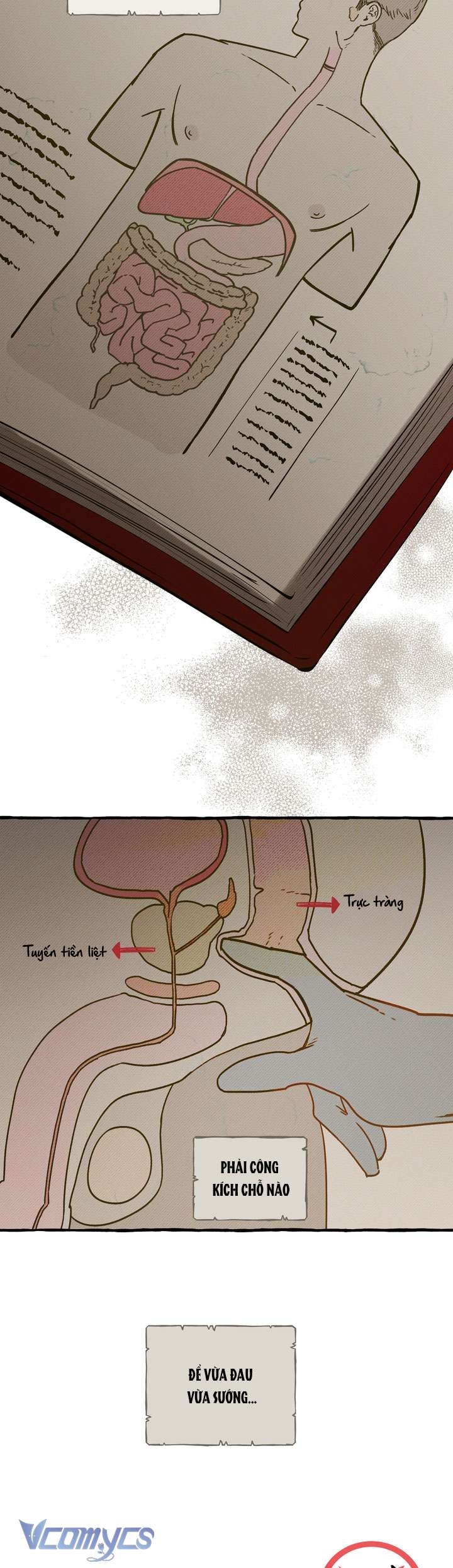 [18+] Hoàng Cung Có Chó Dữ! Chap 76 - Trang 2