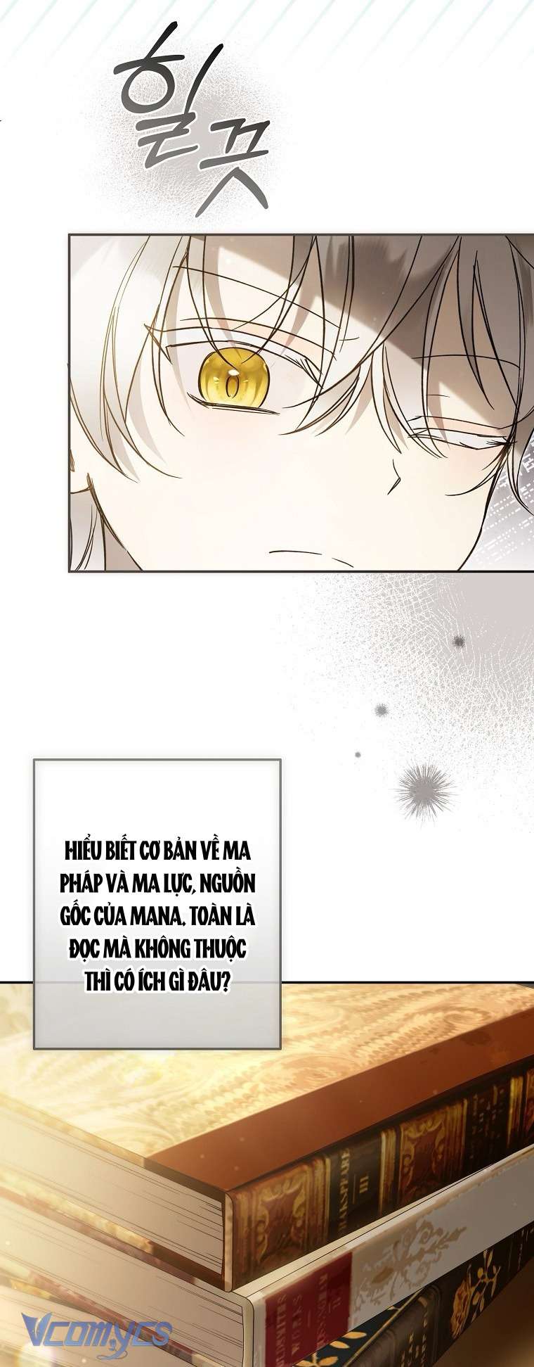 Độc Chiếm Sủng Ái Của Công Chúa Út, Mọi Người Đều Say Mê Tôi. Chap 41 - Next Chap 42