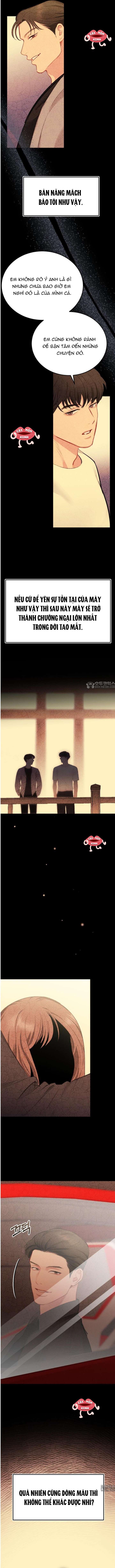 Văn Phòng Thư Ký Chap 36 - Trang 2