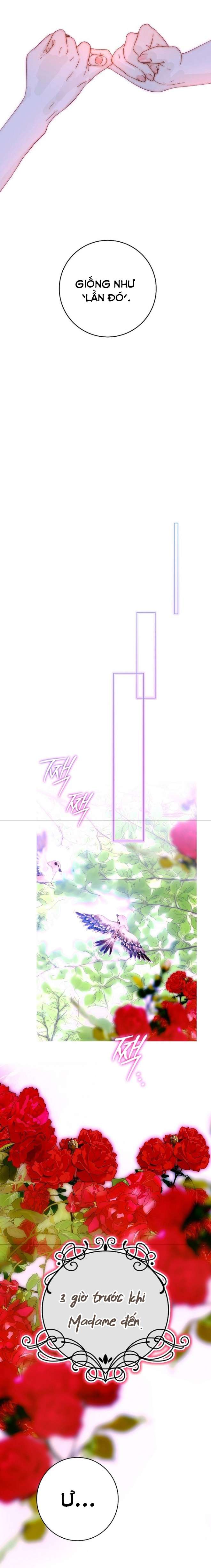 Những Mảnh Vỡ Của Giấc Mộng Thủy Tinh Chap 26 - Trang 2