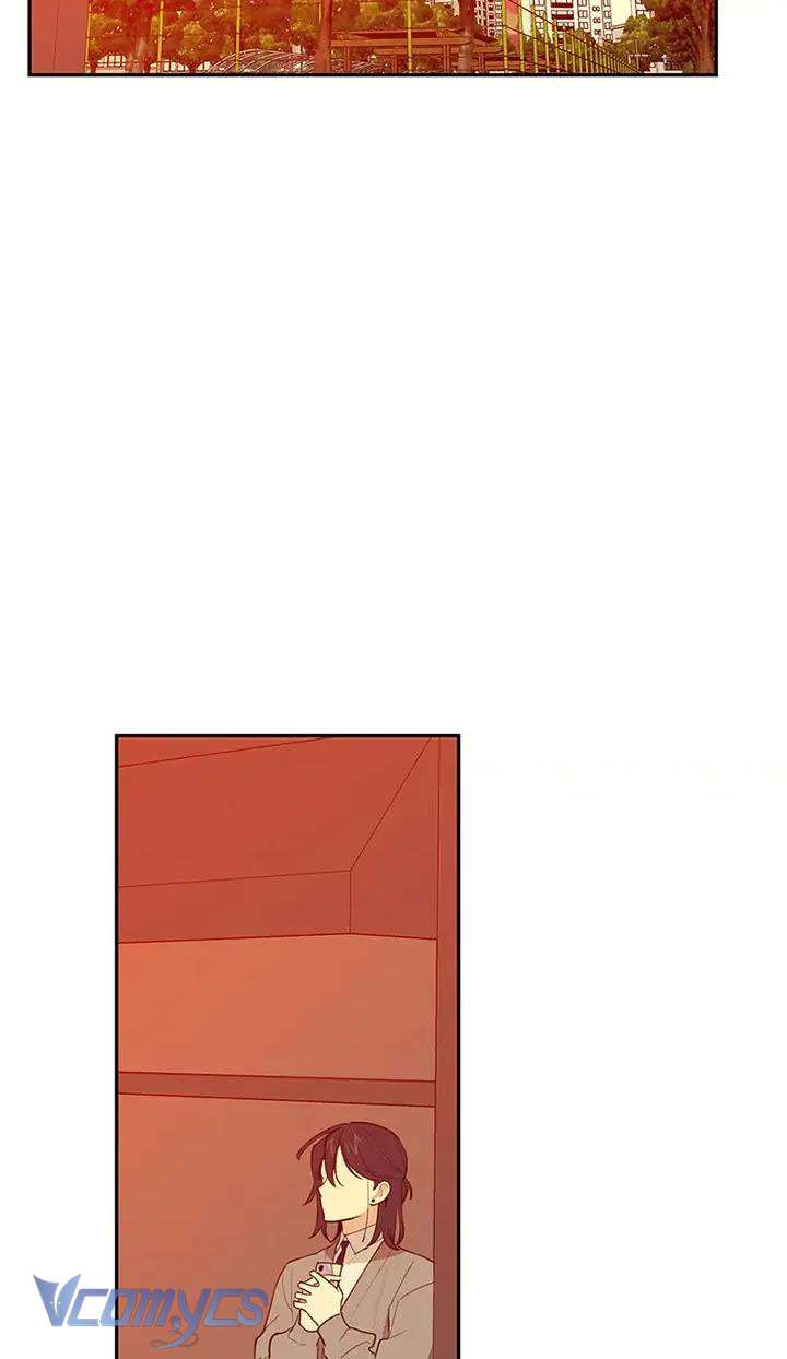 Điều Ước Sao Băng Chap 53 - Trang 4