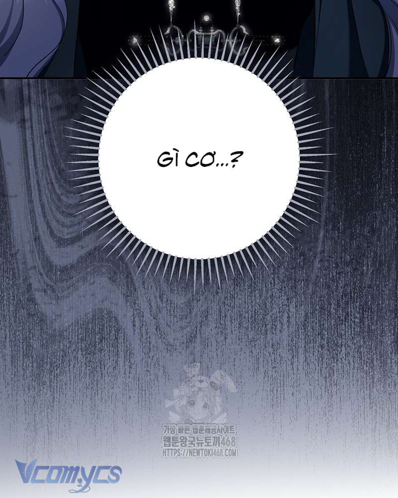 Các Nam Chính Đã Bị Nữ Phụ Cướp Mất Chap 69 - Trang 2