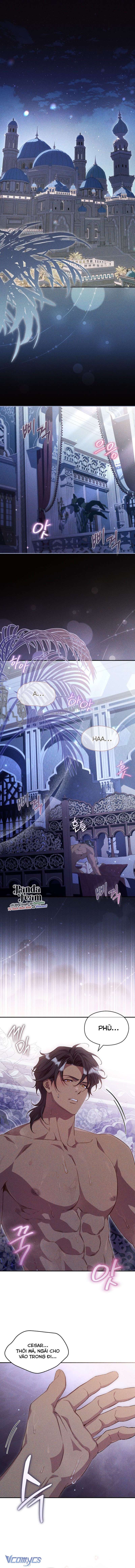 〔18+〕Cuộc Hôn Nhân Thế Thân Của Lily Bush Chap 37 - Trang 2