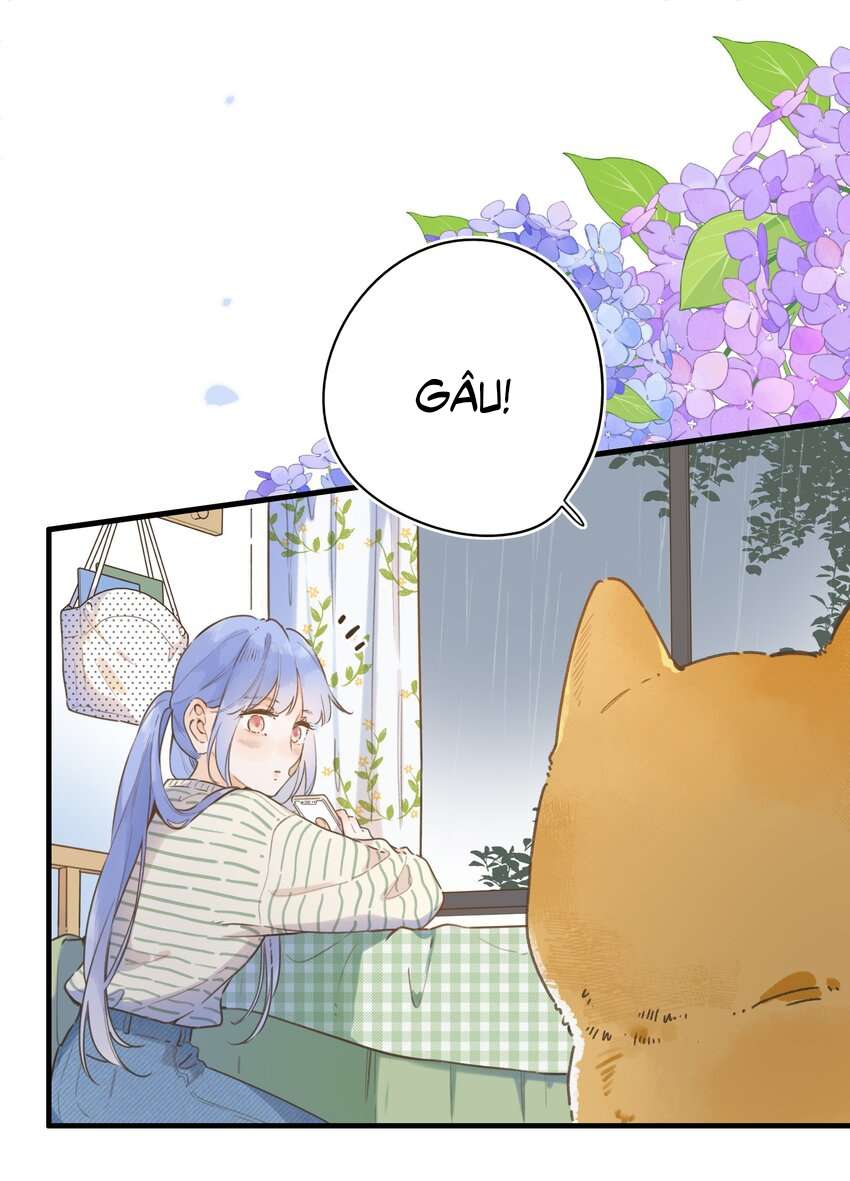 Ánh Sao Phiêu Linh Trong Nước Chap 77 - Trang 4