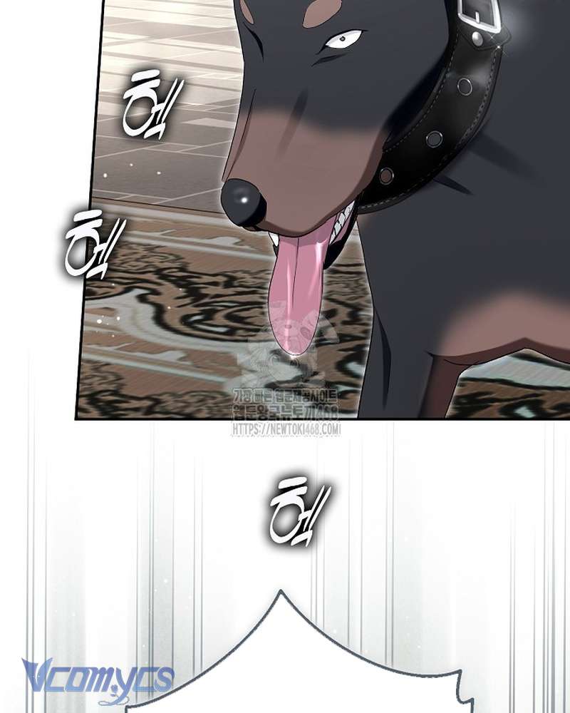 Các Nam Chính Đã Bị Nữ Phụ Cướp Mất Chap 65 - Trang 2