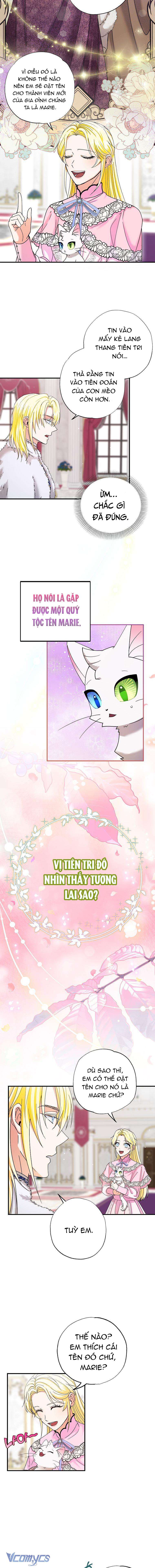 Trở Thành Miêu Nữ Của Hoàng Đế Chapter 3 - Trang 4