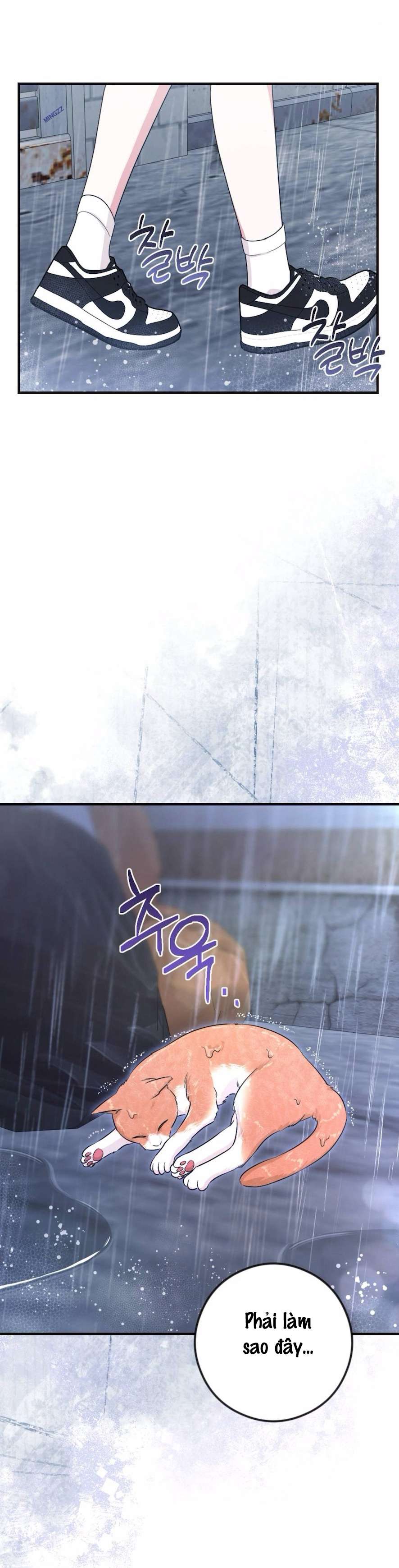 Chiếm Lấy Em Chap 4 - Next Chap 5