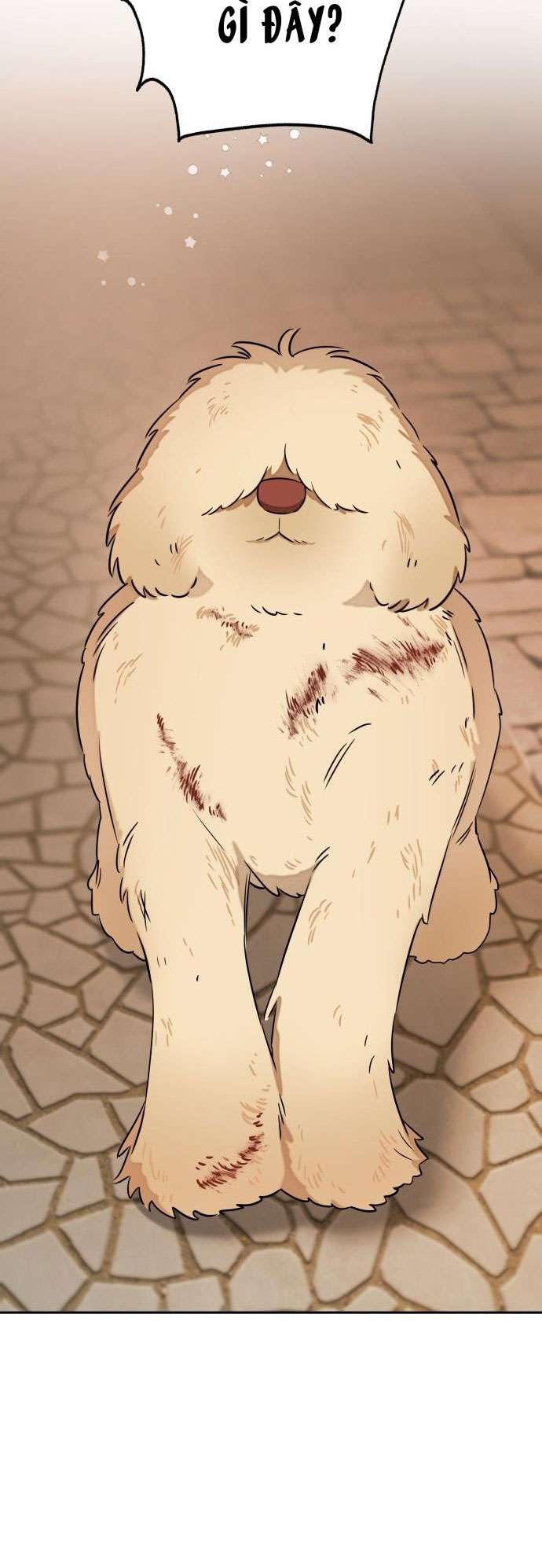 Trận Đấu Đồng Đội Của Những Tài Xế Xe Tải Chap 17 - Trang 4