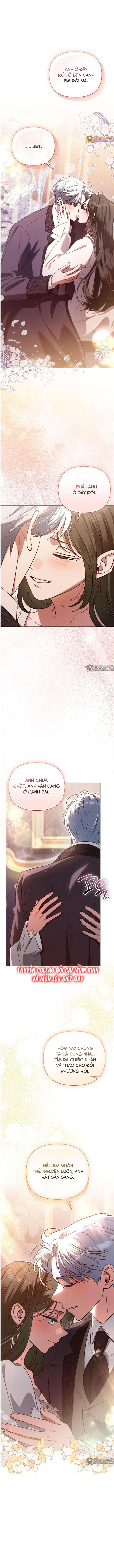 Dành Cho Nàng Juliet Xinh Đẹp Chap 42 - Trang 4