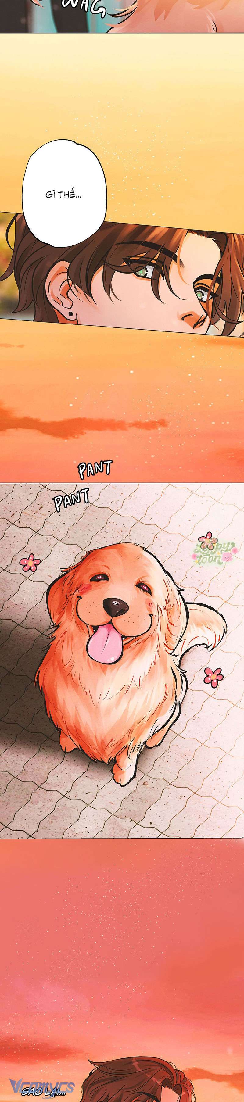 Golden Hour Chap 1 - Trang 2