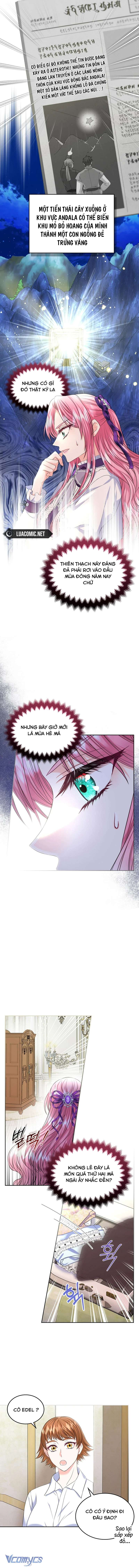 Tôi sẽ ly hôn với anh trai nữ chính Chap 70 - Trang 2