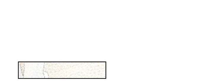 Câu Cá Cũng Bắt Được Người Cá Sao? Chap 7 - Next Chap 8