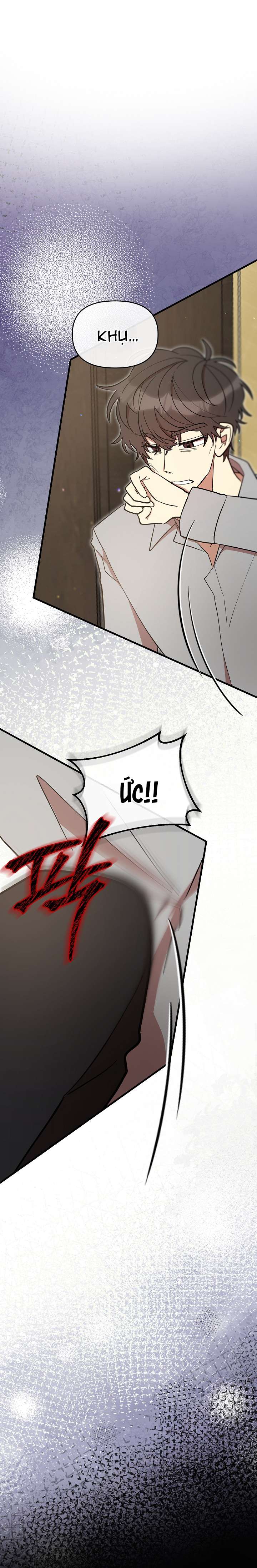 Tôi Đã Vô Tình Quyến Rũ Em Trai Của Nam Chính Chap 52 - Trang 3