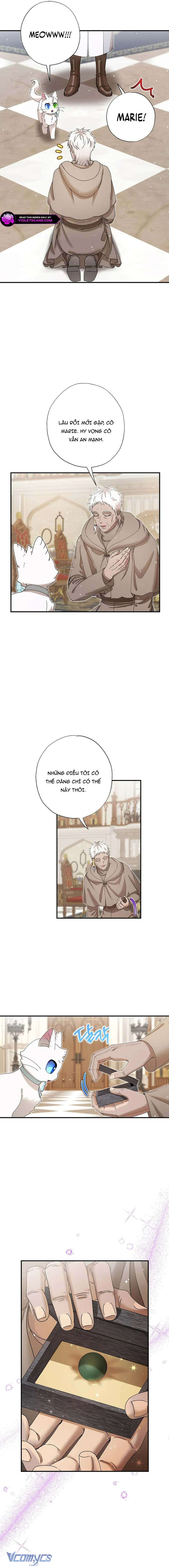 Trở Thành Miêu Nữ Của Hoàng Đế Chap 52 - Trang 3