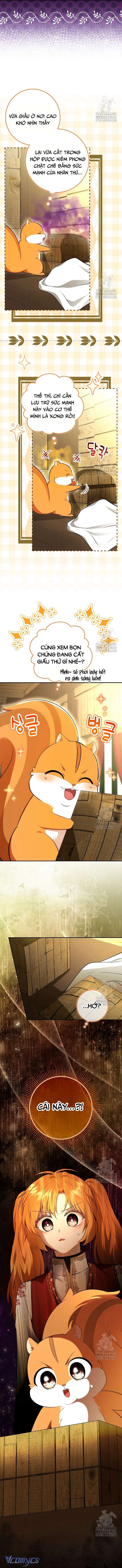 Sóc Con Tài Năng Chap 104 - Trang 2