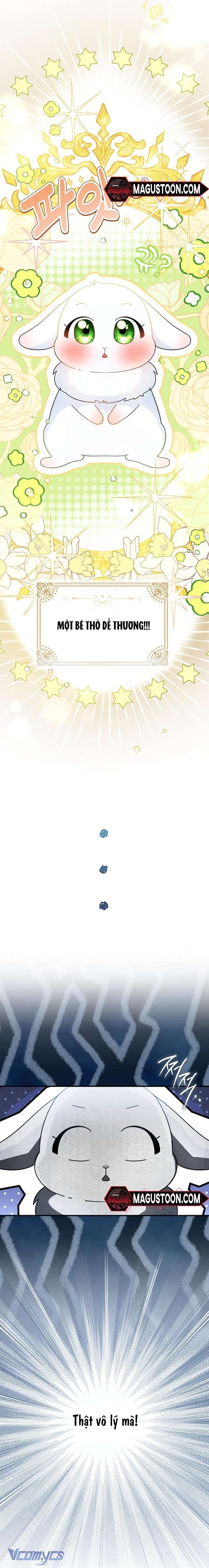 Thỏ Á? Rõ Ràng Là Mãnh Thú Cơ Mà! Chap 1 - Trang 3