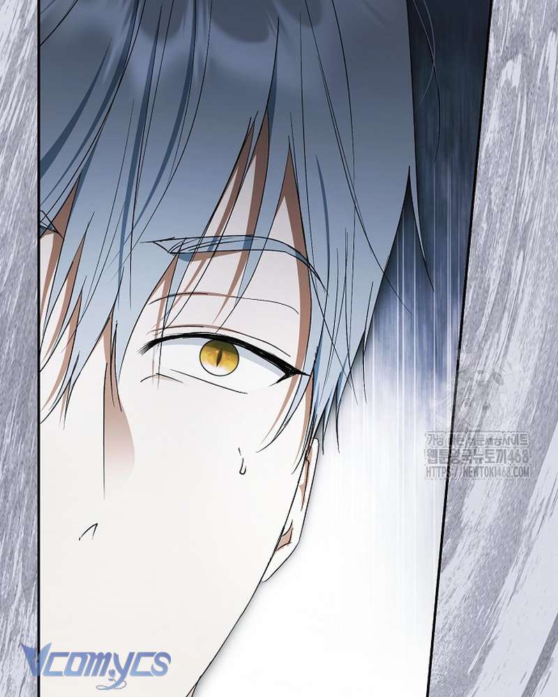 Các Nam Chính Đã Bị Nữ Phụ Cướp Mất Chap 69 - Trang 2