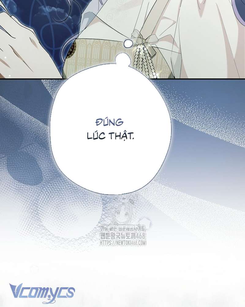 Các Nam Chính Đã Bị Nữ Phụ Cướp Mất Chap 67 - Trang 2