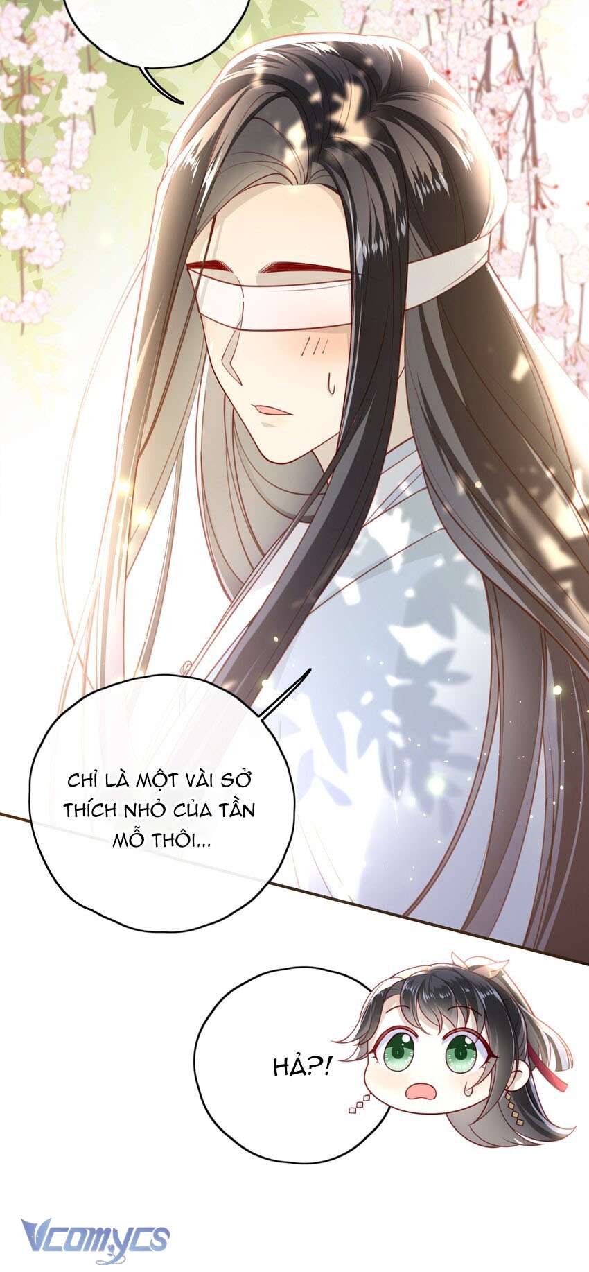 Đại Lão Phải Gả Cho Phu Quân Mù! Chap 12 - Trang 2