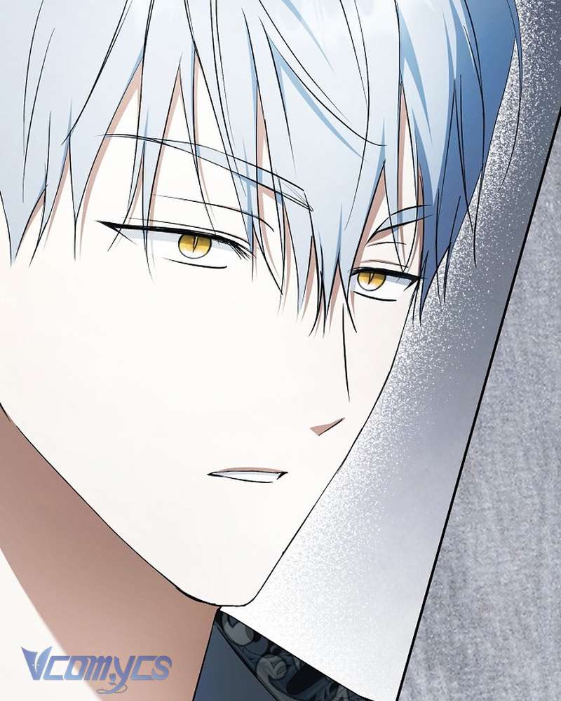 Các Nam Chính Đã Bị Nữ Phụ Cướp Mất Chap 65 - Trang 2