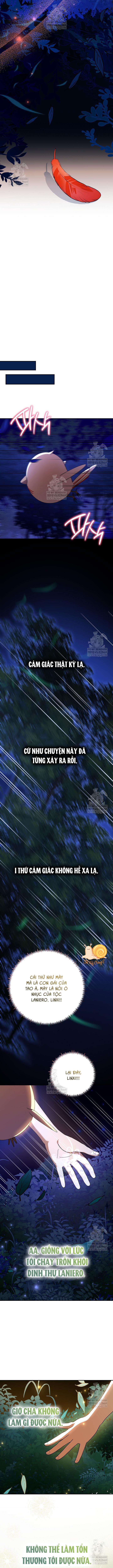 Nàng Chim Được Dinh Thự Sói Yêu Thương Chap 65 - Trang 2