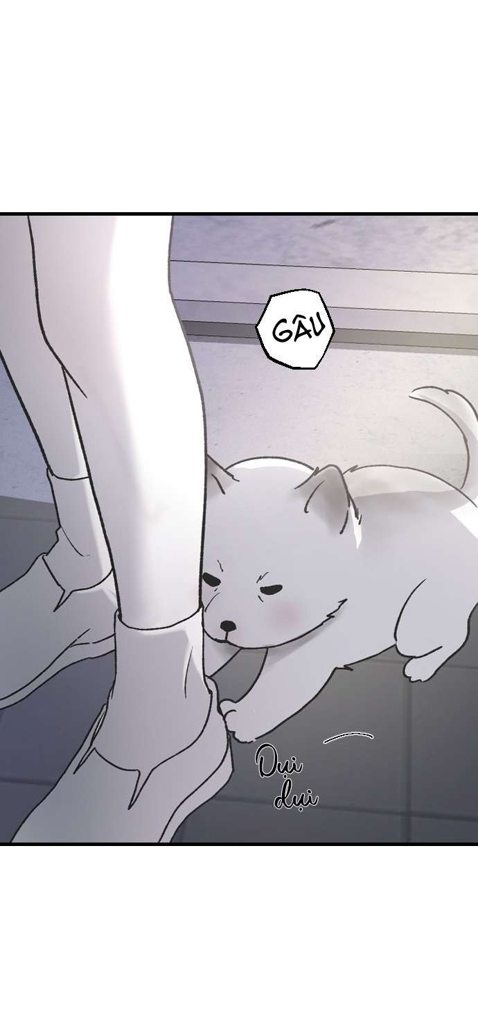 Ba Anh Trai Cực Phẩm Của Tôi Chap 68 - Trang 2