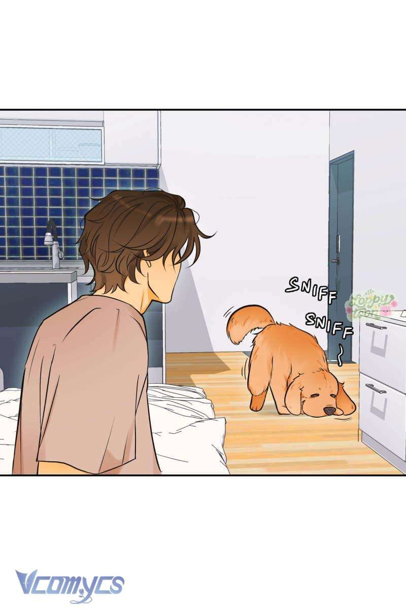 Golden Hour Chap 3 - Trang 2