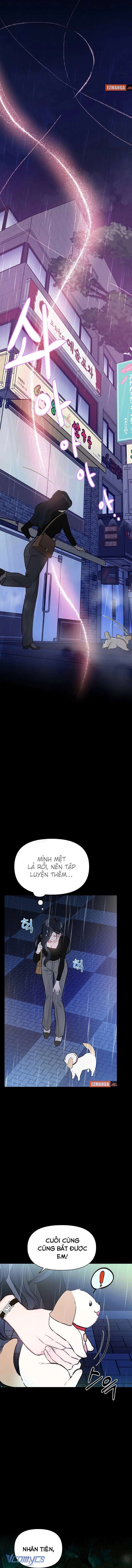 Sếp, Em Sẽ Trở Thành Cún Cưng Của Anh Chap 1 - Trang 3