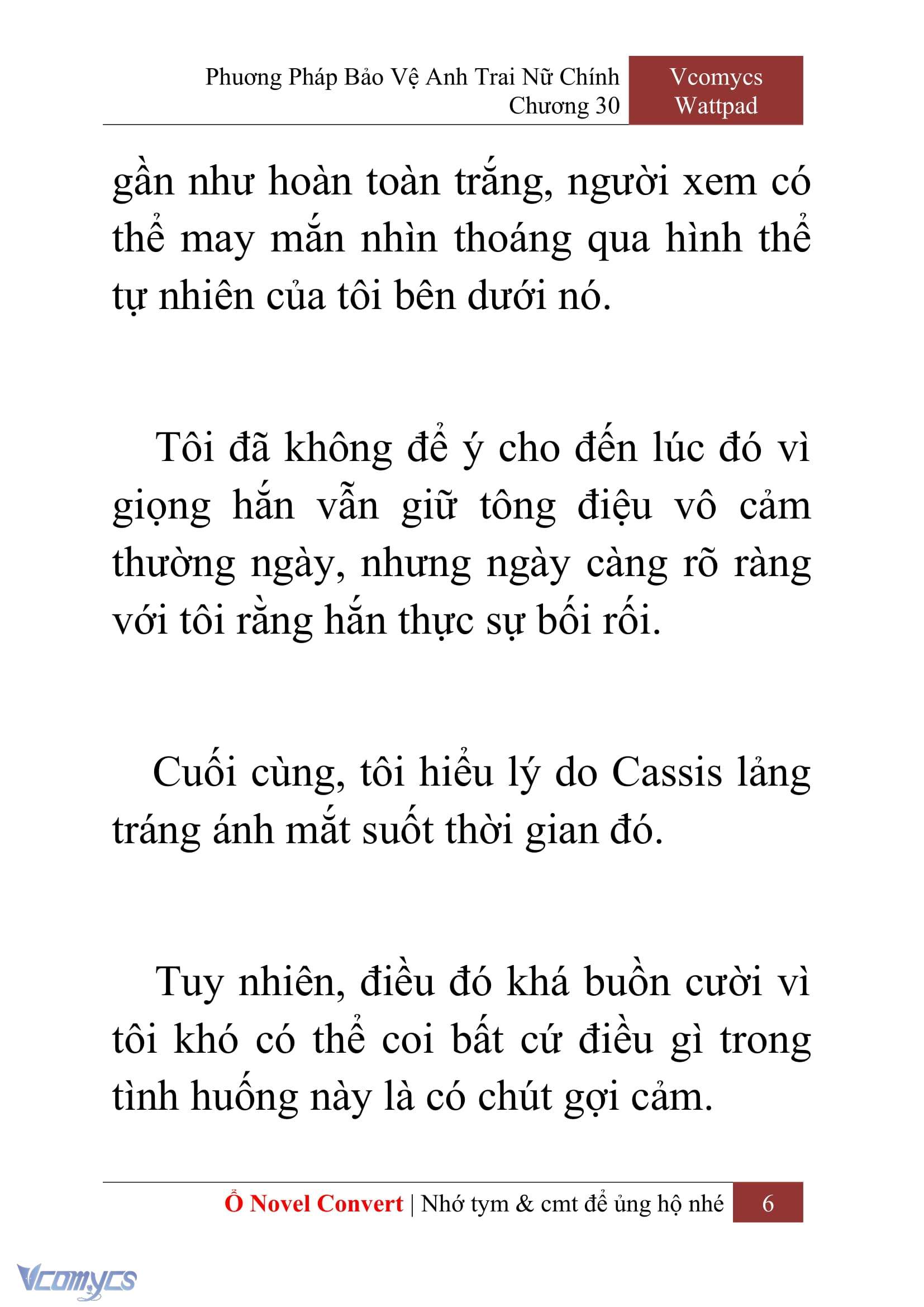 [Novel] Phương Pháp Bảo Vệ Anh Trai Nữ Chính Chap 30 - Trang 2