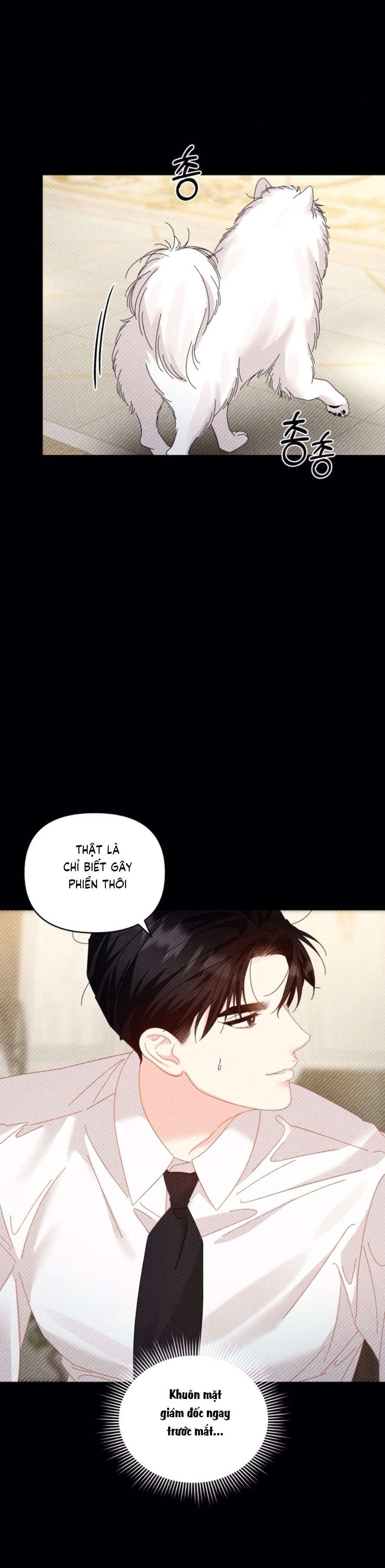 Chính Sách Khuyến Khích Chap 4 - Next Chap 5