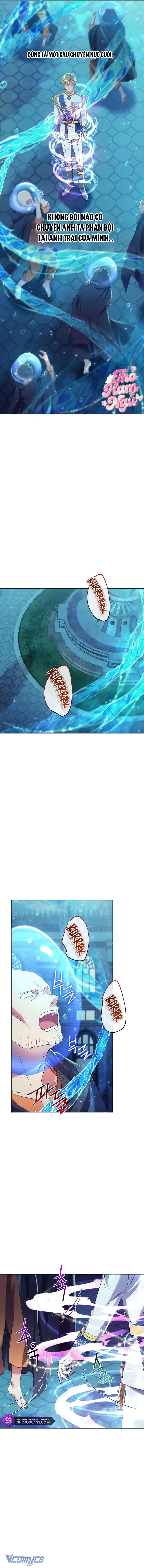 Sao Tôi Có Thể Li Hôn Khi Còn Chưa Kết Hôn Đây, Thưa Bệ Hạ Chap 14 - Trang 2