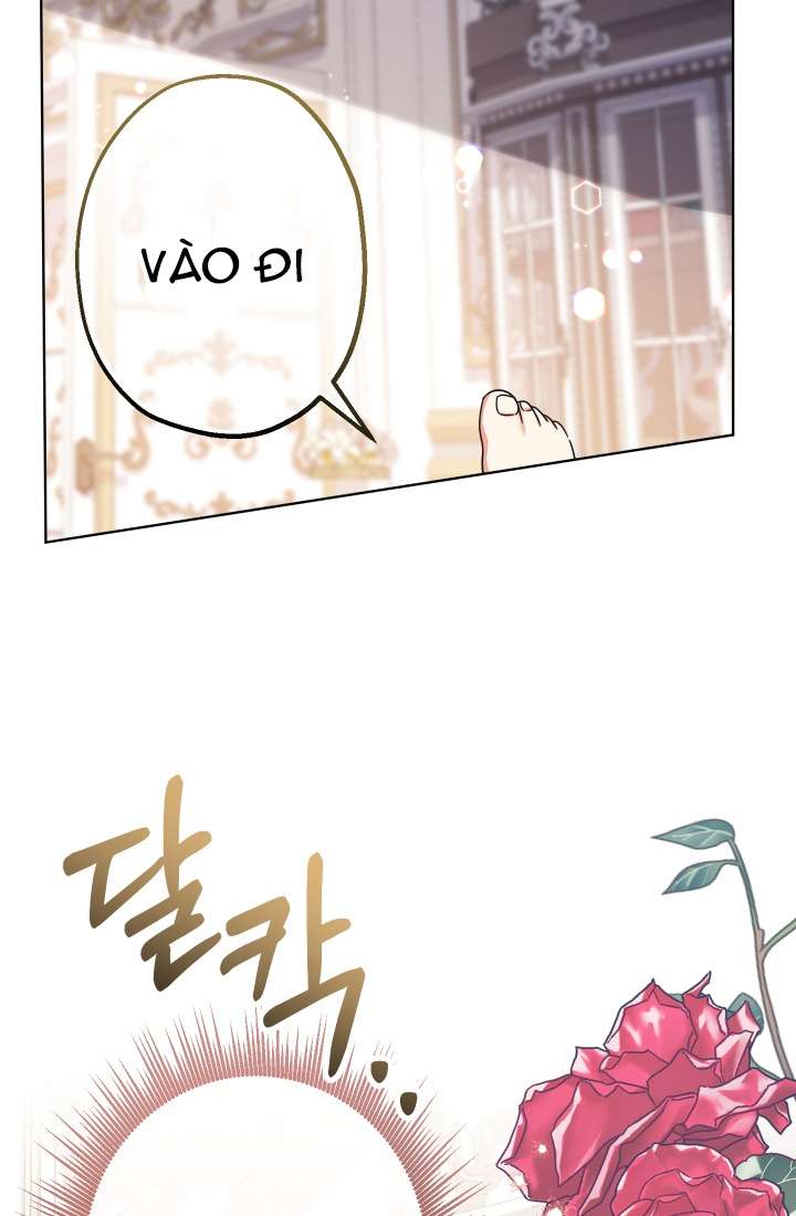 [PNT] Tiểu Thư Tích Tiền Đi Bụi Chap 15 - Trang 2