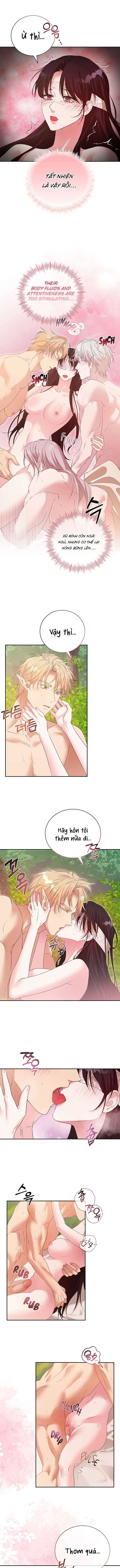 [ 18+ KHÔNG CHE ] Tại nơi ẩn mình cuối cùng của sắc xanh Chap 43 - Trang 2