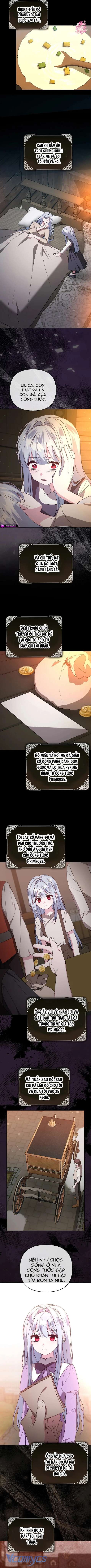 Ác Nữ Muốn Che Giấu Sự Giàu Sang Chap 43 - Trang 2