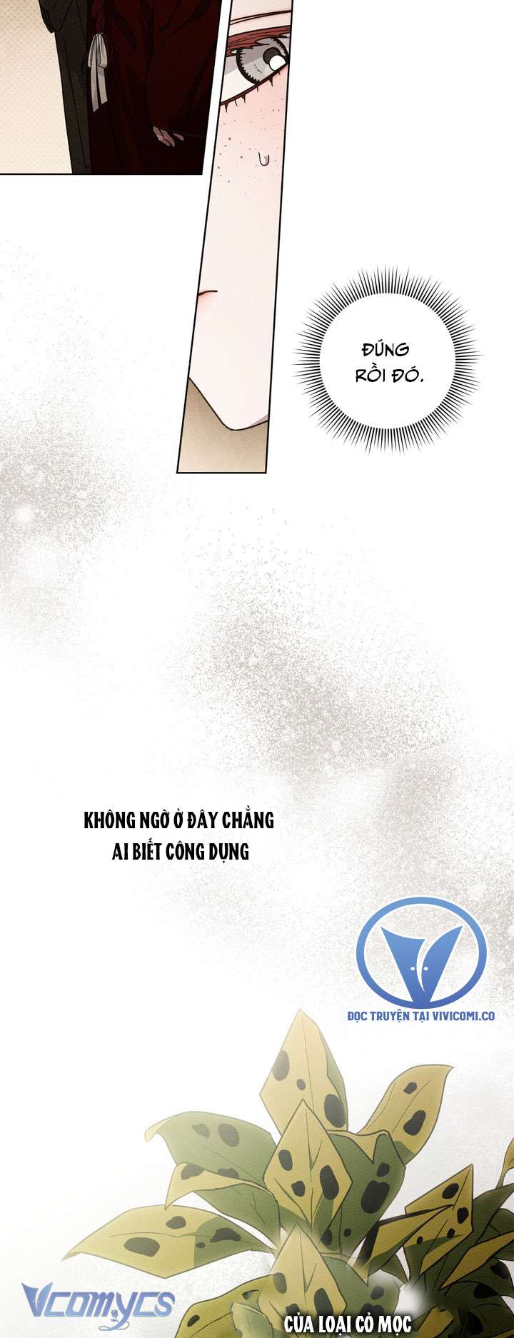 Dưới Bóng Cây Sồi Chap 117 - Trang 2