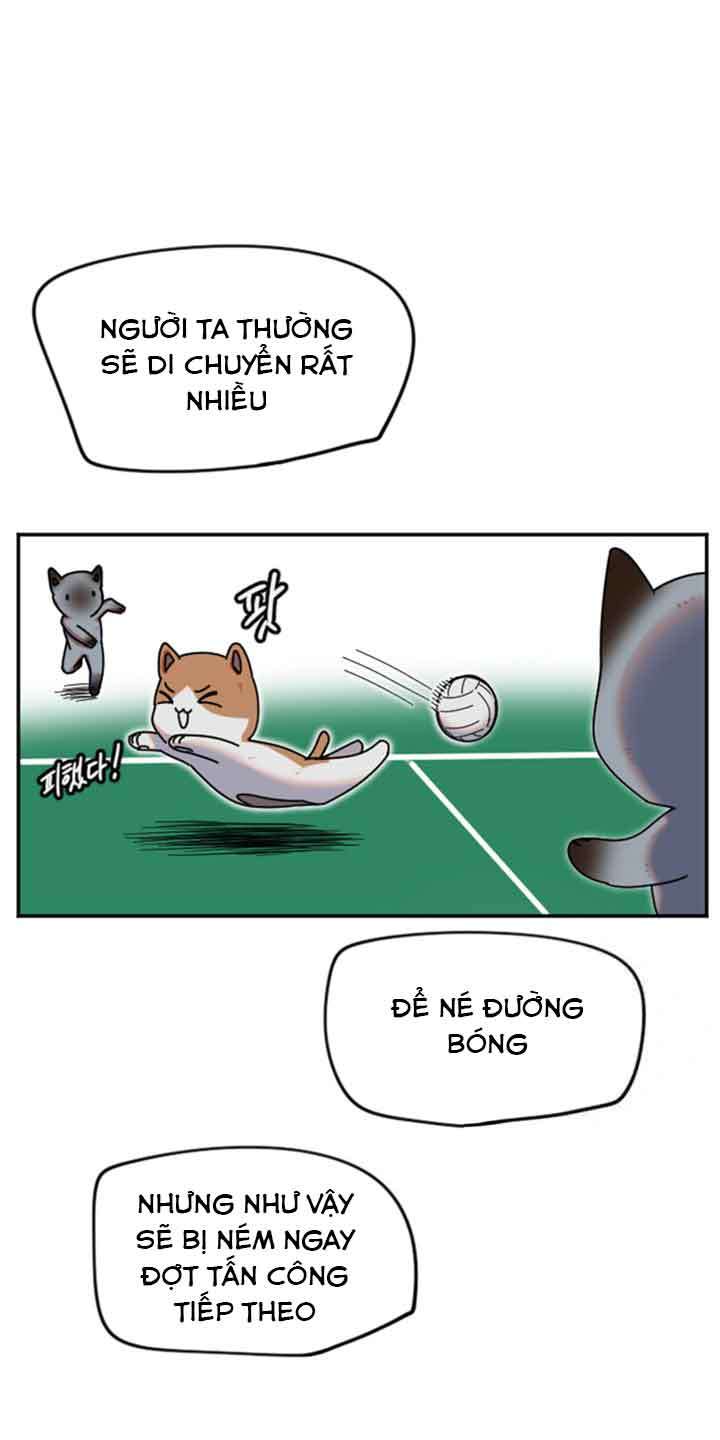 Manitto Chap 5 - Trang 3