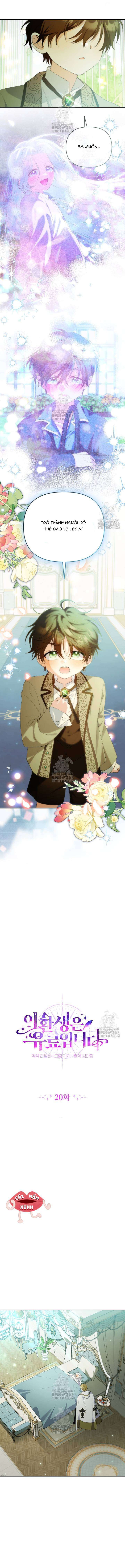 Cái Giá Của Tái Sinh Chap 20 - Trang 2