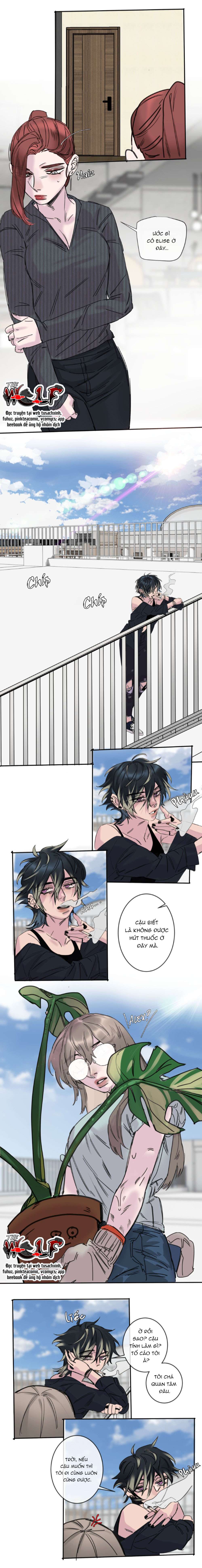 Tình Cờ Thật Đấy Chap 2.2 - Trang 3