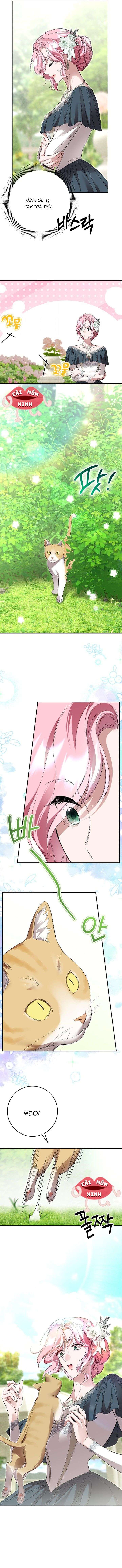 Cuộc Hôn Nhân Bị Bắt Cóc Xuyên Thời Gian Của Hoàng Hậu Chap 40 - Trang 2