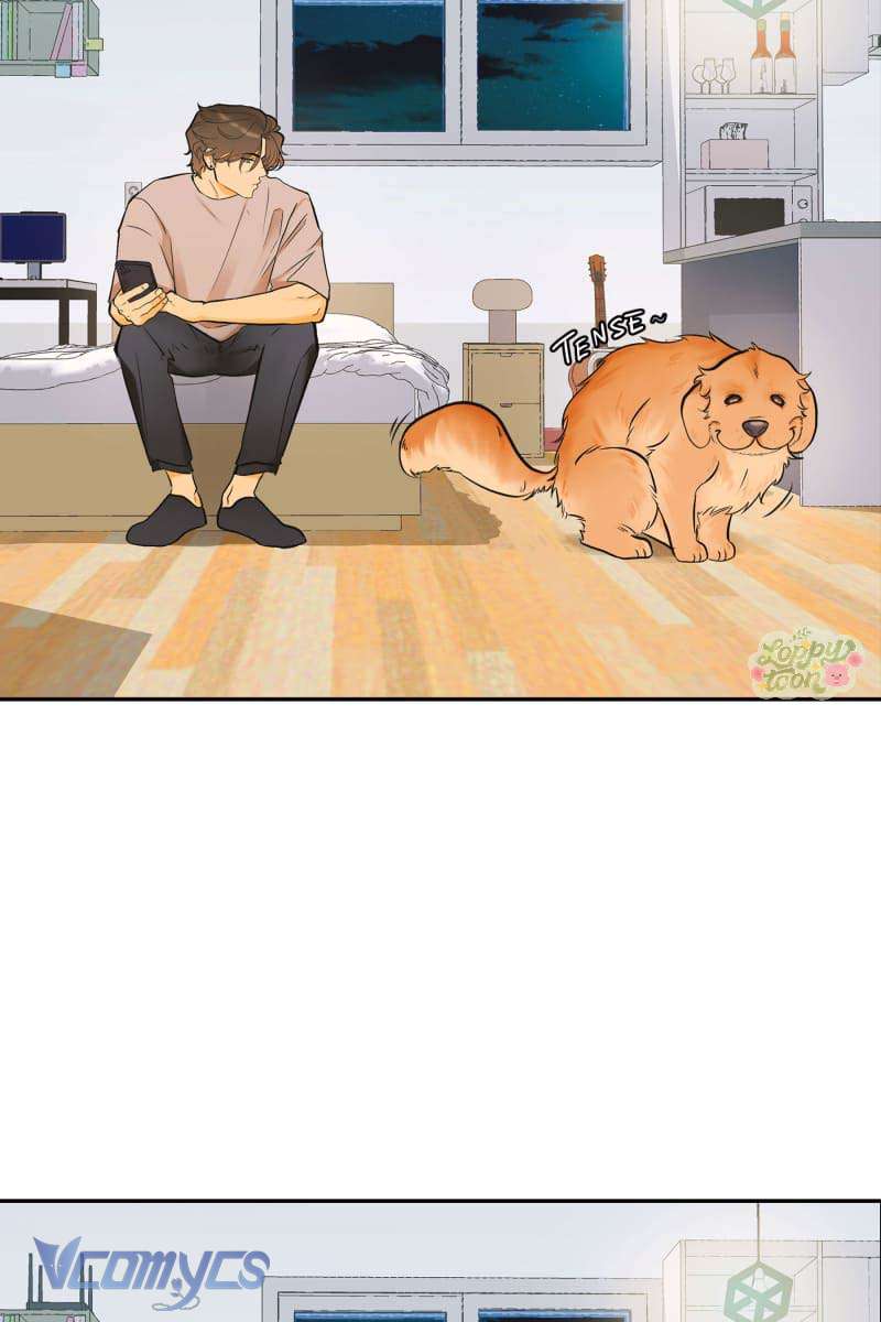 Golden Hour Chap 3 - Trang 2