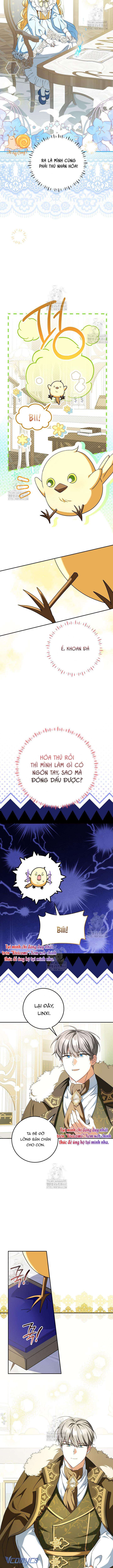 Nàng Chim Được Dinh Thự Sói Yêu Thương Chap 56 - Trang 2