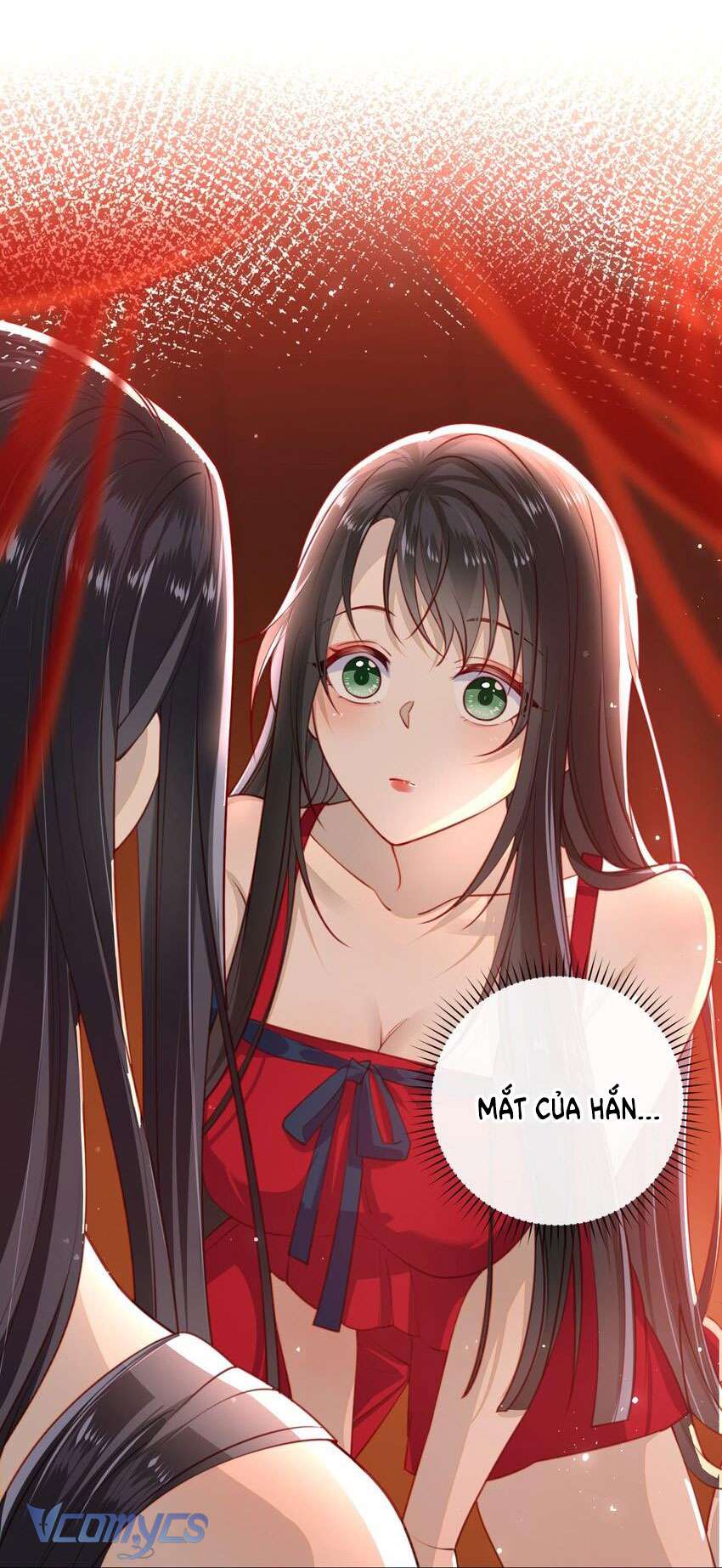 Đại Lão Phải Gả Cho Phu Quân Mù! Chap 10 - Trang 2