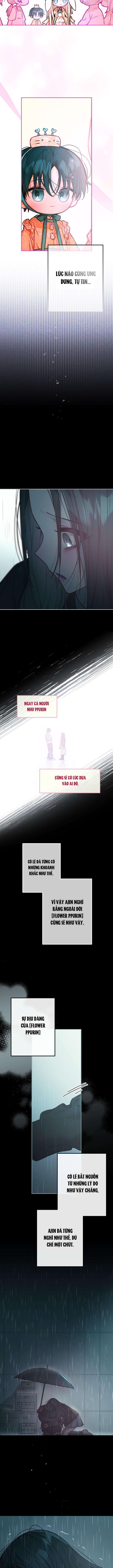 Thần tượng của hội chúng tôi Chap 24 - Trang 2