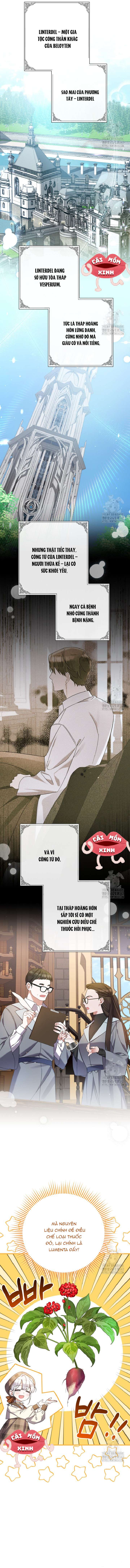 Tôi Chỉ Định Chăm Sóc Người Cha Ốm Yếu Của Mình Thôi Mà Chap 27 - Trang 2